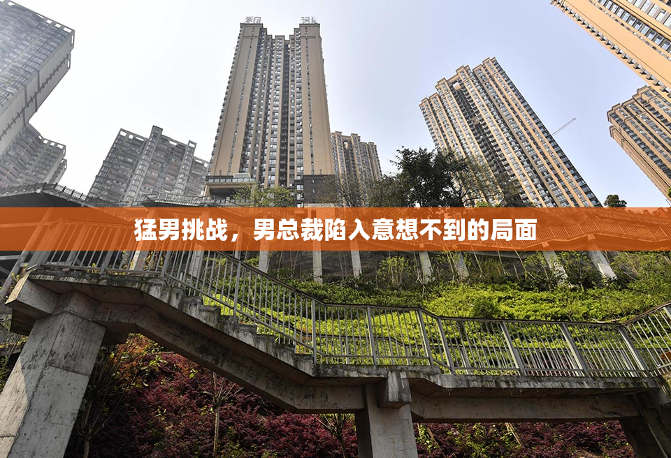 猛男挑战，男总裁陷入意想不到的局面
