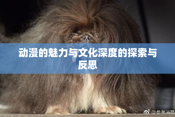 动漫的魅力与文化深度的探索与反思