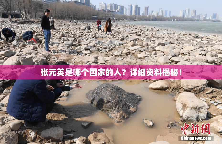 张元英是哪个国家的人？详细资料揭秘！