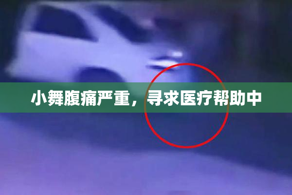 小舞腹痛严重，寻求医疗帮助中