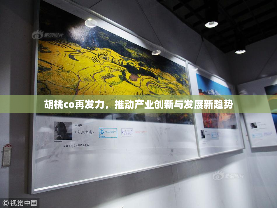 胡桃co再发力，推动产业创新与发展新趋势