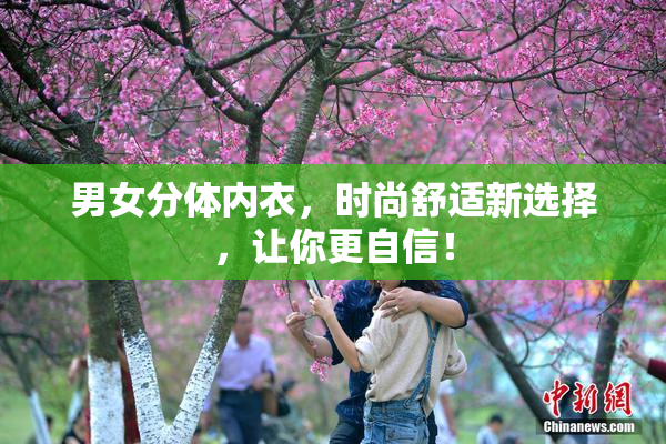 男女分体内衣，时尚舒适新选择，让你更自信！