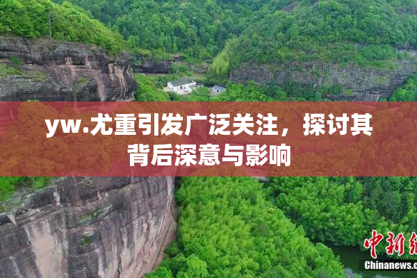 yw.尤重引发广泛关注，探讨其背后深意与影响