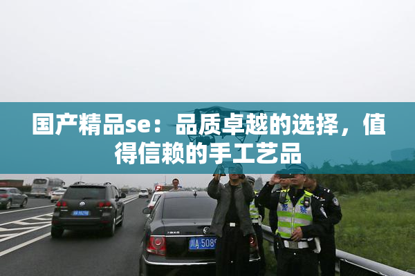 国产精品se：品质卓越的选择，值得信赖的手工艺品