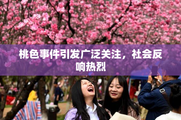 桃色事件引发广泛关注，社会反响热烈