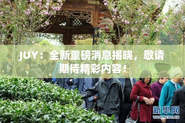 JUY：全新重磅消息揭晓，敬请期待精彩内容！
