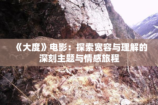 《大度》电影：探索宽容与理解的深刻主题与情感旅程
