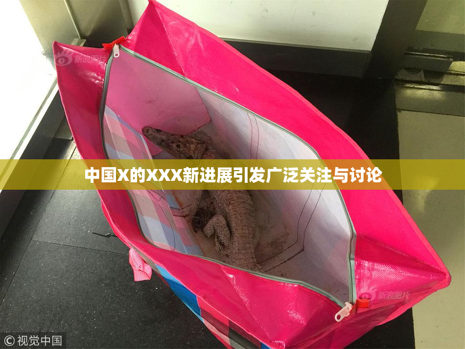 中国X的XXX新进展引发广泛关注与讨论