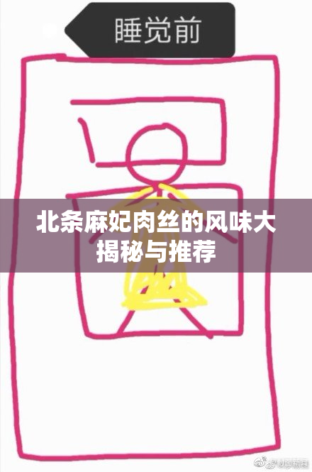 北条麻妃肉丝的风味大揭秘与推荐