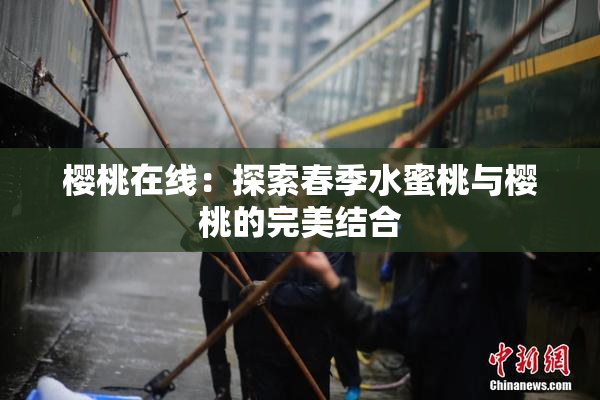 樱桃在线：探索春季水蜜桃与樱桃的完美结合