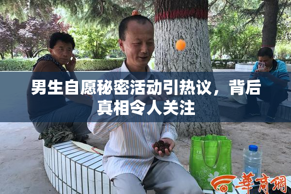 男生自愿秘密活动引热议，背后真相令人关注