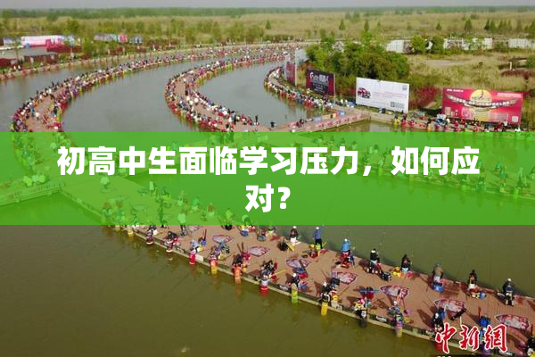 初高中生面临学习压力，如何应对？