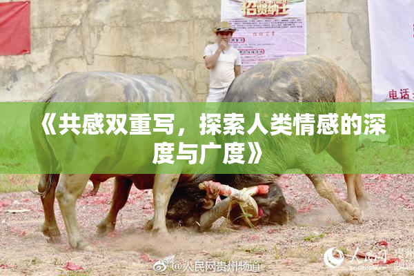 《共感双重写，探索人类情感的深度与广度》