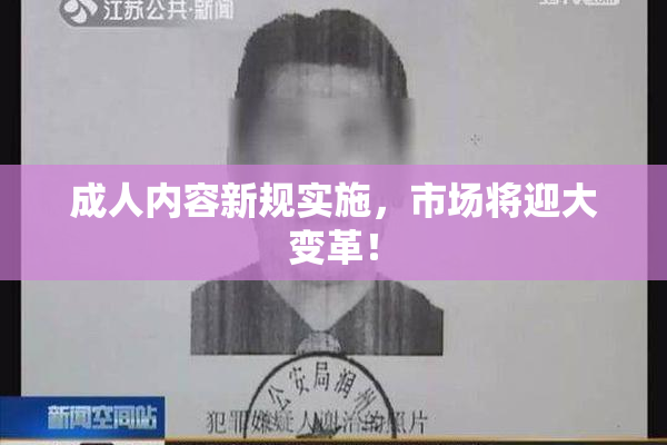 成人内容新规实施，市场将迎大变革！