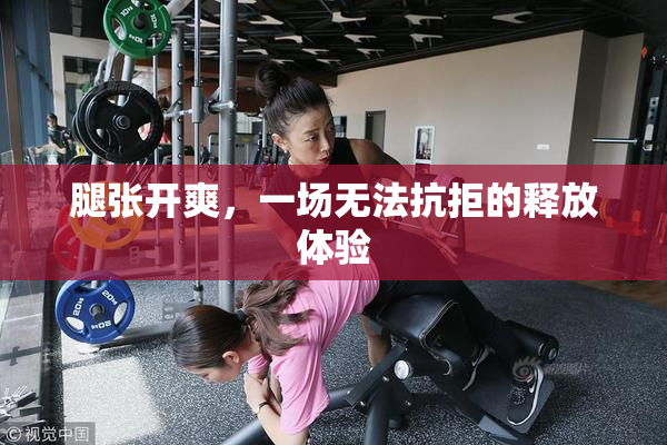 腿张开爽，一场无法抗拒的释放体验