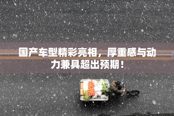 国产车型精彩亮相，厚重感与动力兼具超出预期！