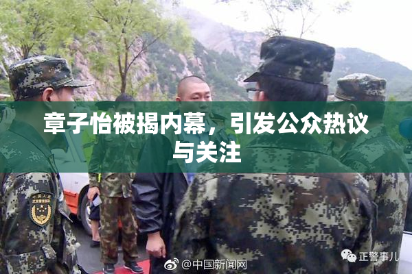 章子怡被揭内幕，引发公众热议与关注