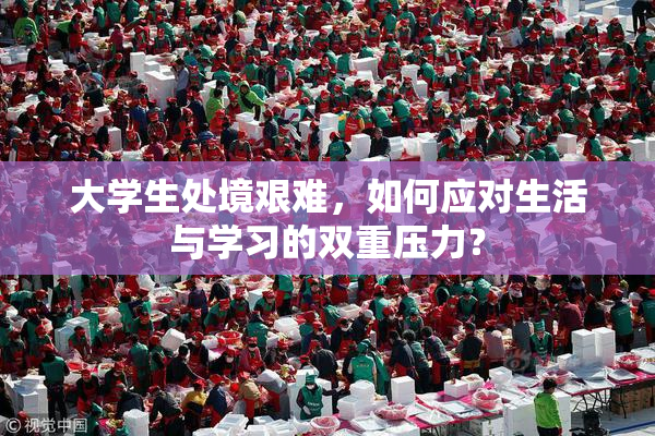 大学生处境艰难，如何应对生活与学习的双重压力？