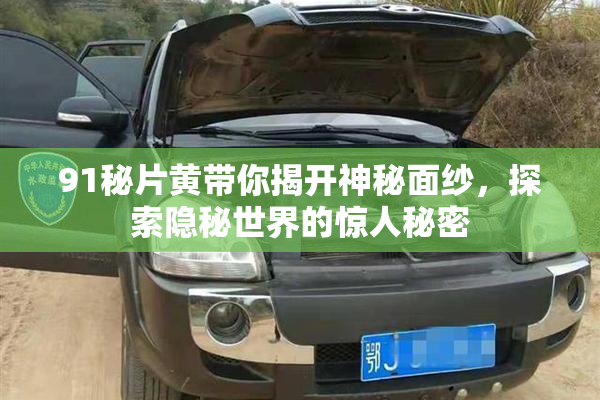 91秘片黄带你揭开神秘面纱，探索隐秘世界的惊人秘密