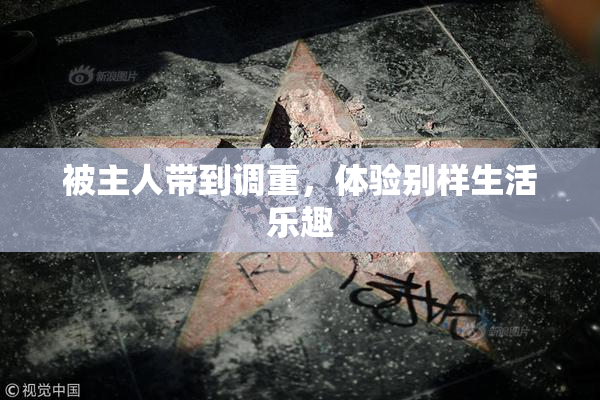被主人带到调重，体验别样生活乐趣