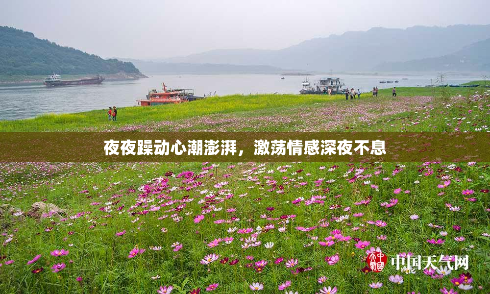 夜夜躁动心潮澎湃，激荡情感深夜不息