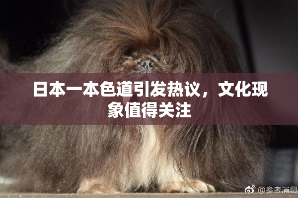 日本一本色道引发热议，文化现象值得关注