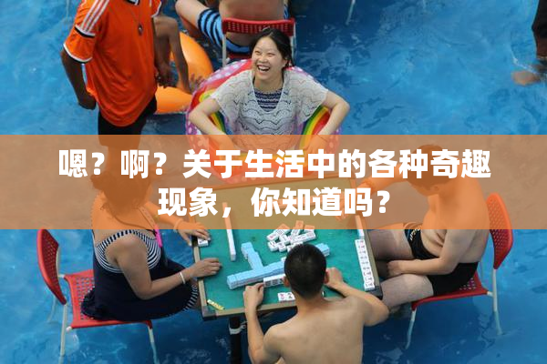 嗯？啊？关于生活中的各种奇趣现象，你知道吗？