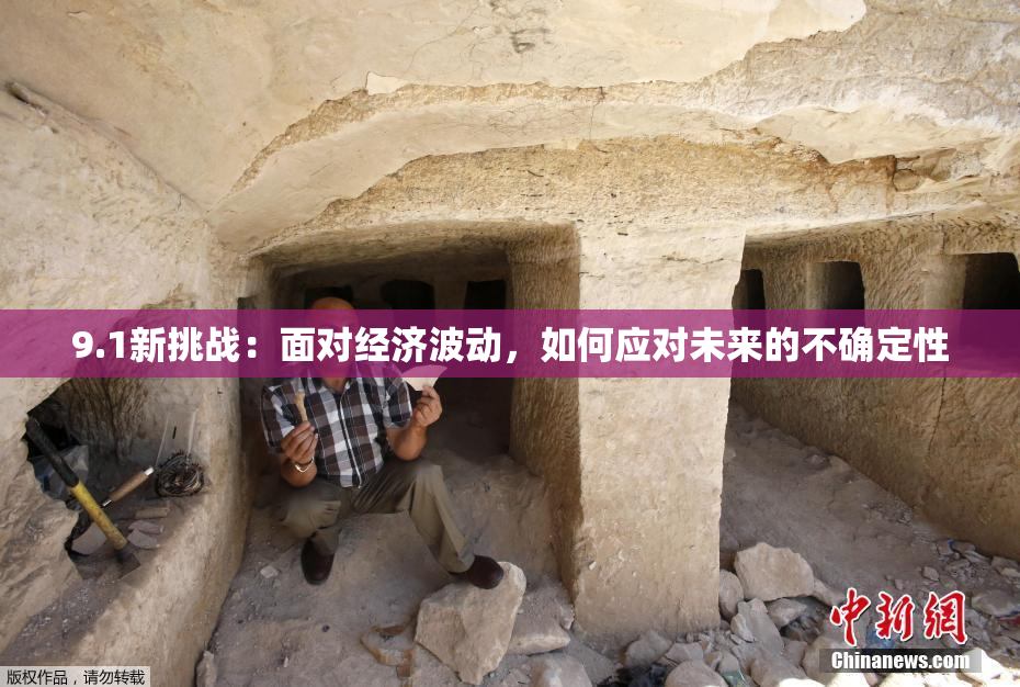 9.1新挑战：面对经济波动，如何应对未来的不确定性
