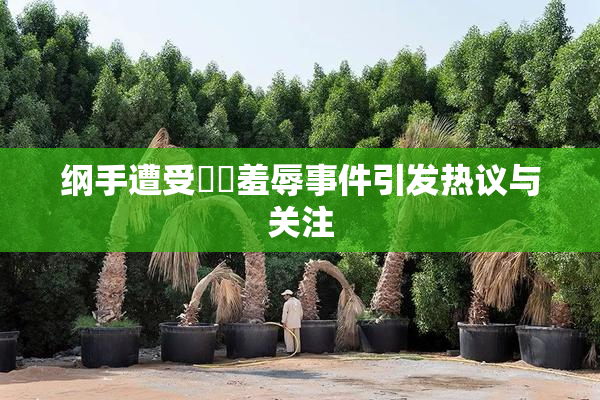 纲手遭受❌‌羞辱事件引发热议与关注