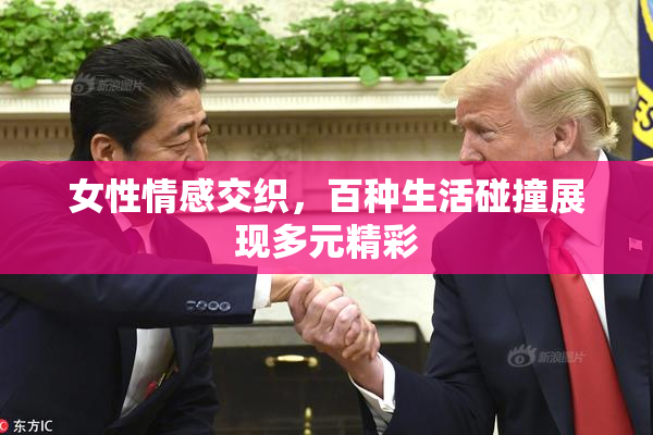 女性情感交织，百种生活碰撞展现多元精彩