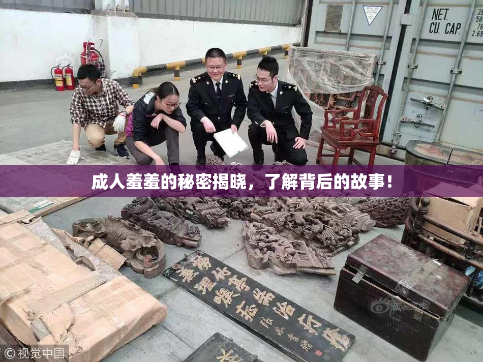 成人羞羞的秘密揭晓，了解背后的故事！