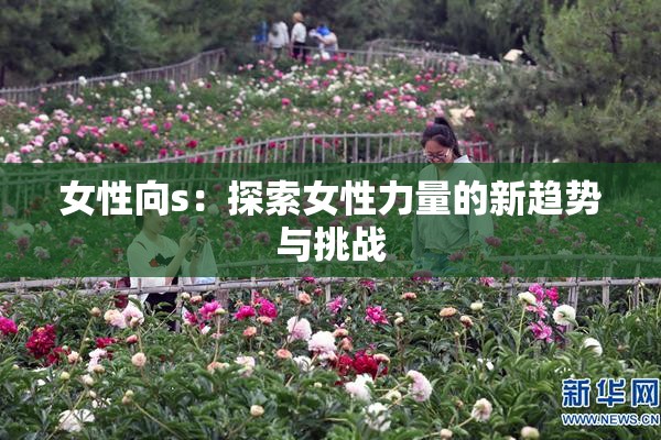 女性向s：探索女性力量的新趋势与挑战