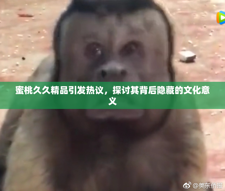 蜜桃久久精品引发热议，探讨其背后隐藏的文化意义