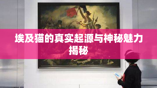 埃及猫的真实起源与神秘魅力揭秘