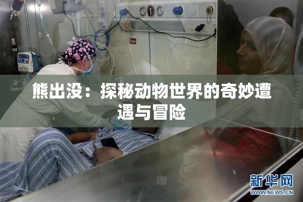 熊出没：探秘动物世界的奇妙遭遇与冒险