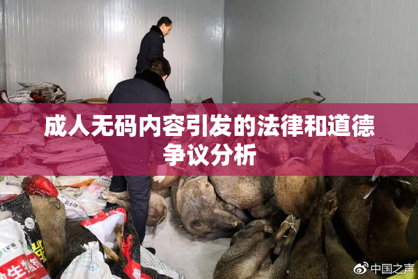 成人无码内容引发的法律和道德争议分析