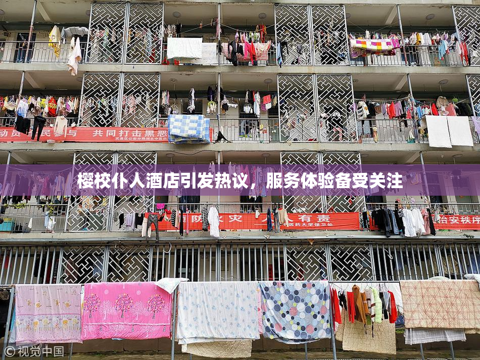 樱校仆人酒店引发热议，服务体验备受关注