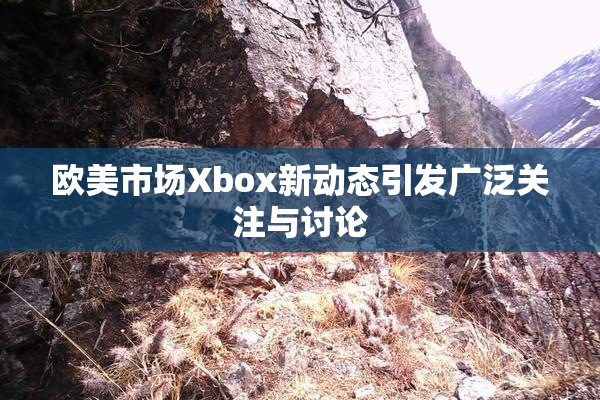 欧美市场Xbox新动态引发广泛关注与讨论