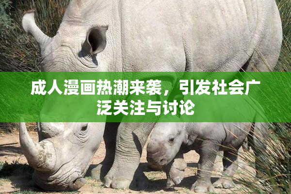 成人漫画热潮来袭，引发社会广泛关注与讨论