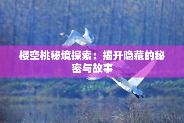 樱空桃秘境探索：揭开隐藏的秘密与故事