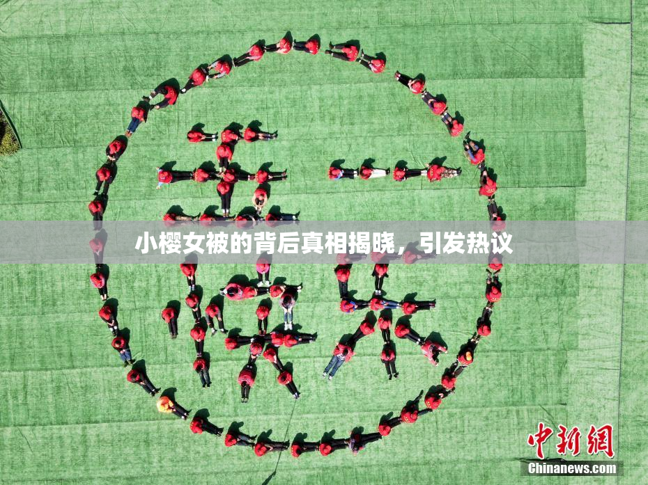 小樱女被的背后真相揭晓，引发热议