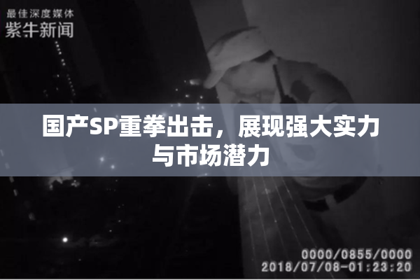 国产SP重拳出击，展现强大实力与市场潜力