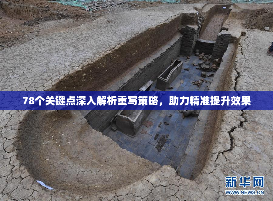 78个关键点深入解析重写策略，助力精准提升效果