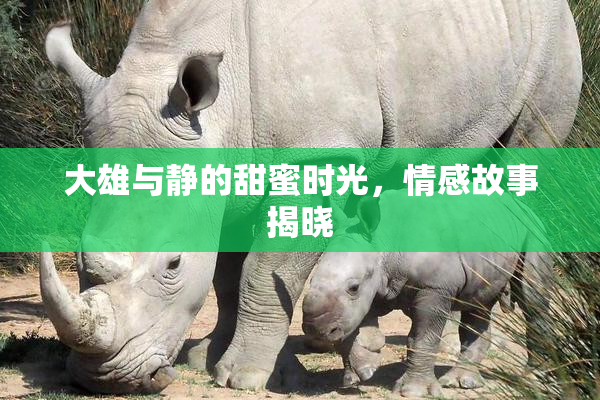 大雄与静的甜蜜时光，情感故事揭晓