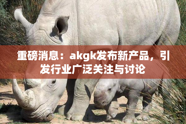 重磅消息：akgk发布新产品，引发行业广泛关注与讨论
