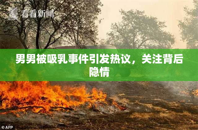 男男被吸乳事件引发热议，关注背后隐情