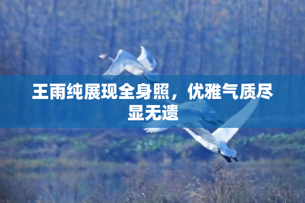 王雨纯展现全身照，优雅气质尽显无遗
