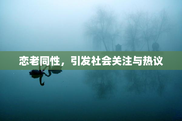 恋老同性，引发社会关注与热议