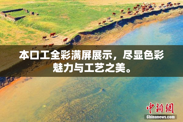 本口工全彩满屏展示，尽显色彩魅力与工艺之美。