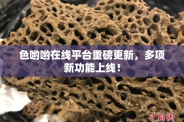 色哟哟在线平台重磅更新，多项新功能上线！